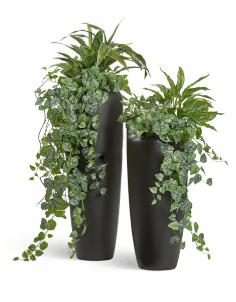 Кашпо TREEZ Effectory — Black Stone — Высокий конус Design — Антрацит