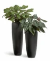 Кашпо TREEZ Effectory — Black Stone — Высокий конус Design — Антрацит